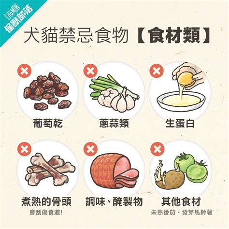 貓咪禁忌|【貓食物禁忌】9大貓不能吃的食物報你知！